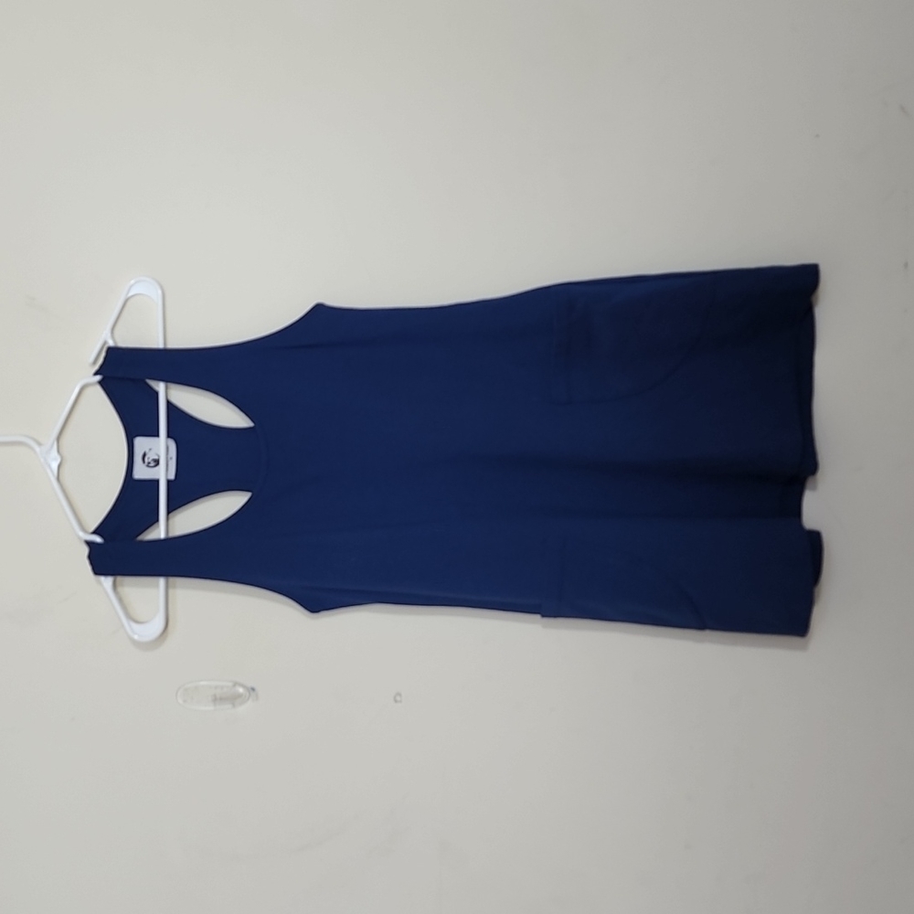 Lobo Mau Raceback Blue Mini Dress Size M